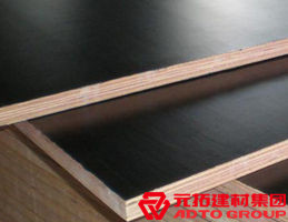 木模板的材料有哪些？各自有什么特點(diǎn)？